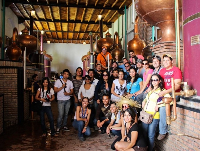 Fabrica de vinos